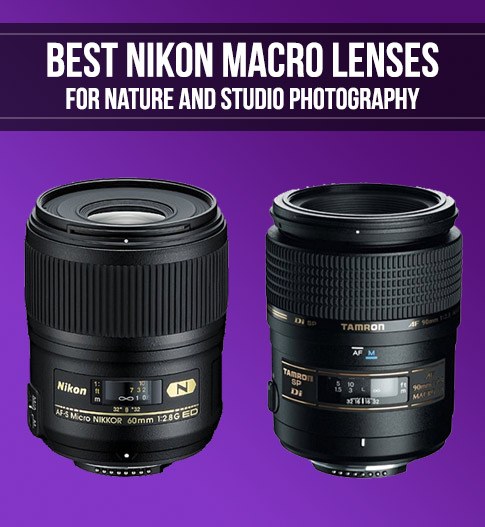 best nikon macro lens for insects